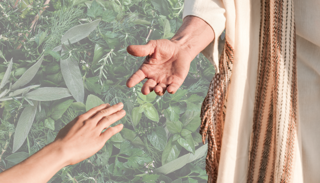 HerbalHand